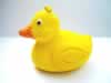 ducky